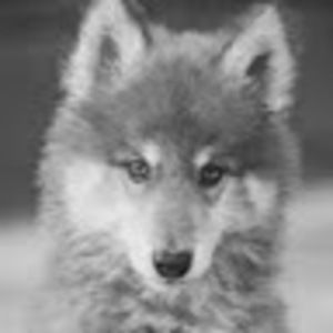 Meet your Posher, Mariah